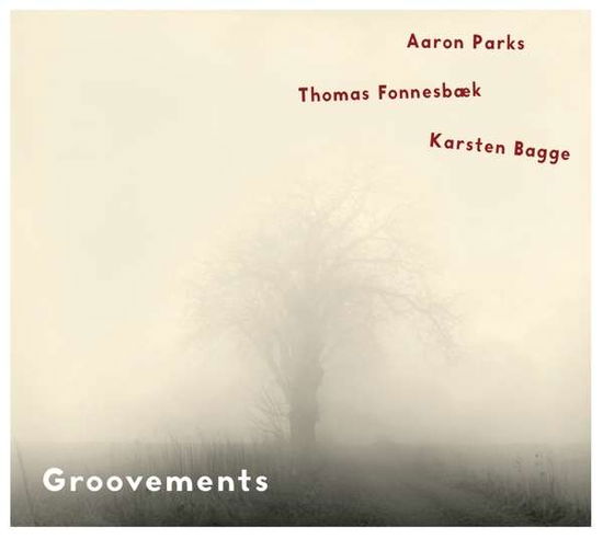 Groovements - Aaron Parks / Thomas Fonnesbæk / Karsten Bagge - Musiikki - CADIZ - STUNT - 0663993151526 - perjantai 15. maaliskuuta 2019