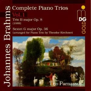 Cover for Brahms / Trio Parnassus · Piano Trio in B (CD) (1996)