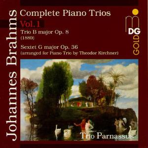 Piano Trio in B - Brahms / Trio Parnassus - Música - MDG - 0760623065526 - 18 de junio de 1996