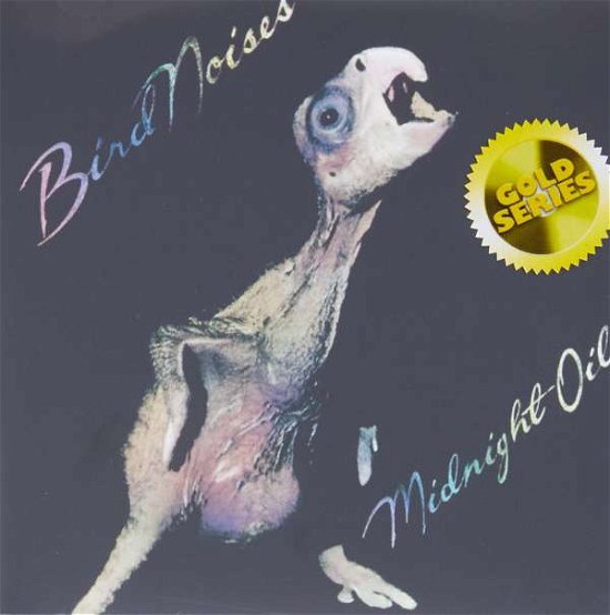 Cover for Midnight Oil · Bird Noises (CD) (2017)