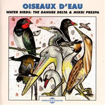 Cover for Huguet,pierre / Sounds of Nature · Water Birds (CD) (2009)