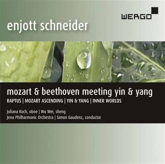 Cover for Koch / Wei / Jena Po / Gaudenz · Enjott Schneider: Mozart &amp; Beethoven Meeting Yin &amp; Yang (CD) (2019)