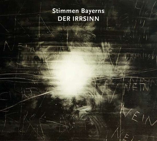 Cover for Stimmen Bayerns:der Irrsinn (CD) (2015)
