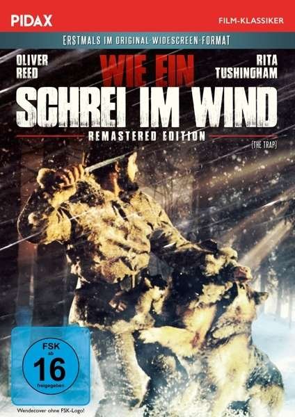 Cover for Wie Ein Schrei Im Wind (DVD) (2016)