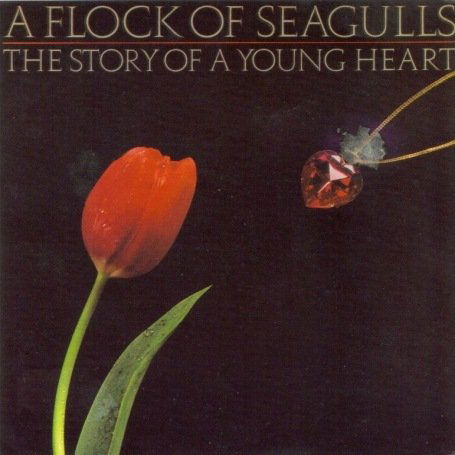 Cover for A Flock Of Seagulls · Story of a Young Heart (CD) [Bonus Tracks edition] (2008)