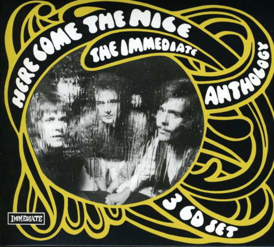 Here Come the Nice: Immediate Anthology - Nice - Musik - SANCR - 5050159105526 - 18 februari 2013