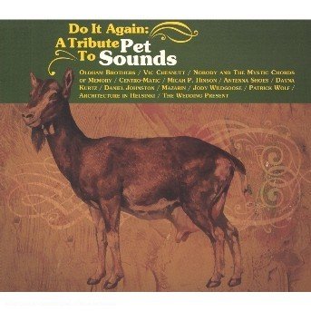 Cover for The Beach Boys · Do It Again:Trib.To Pet Sounds (CD) [Tribute edition] (2014)