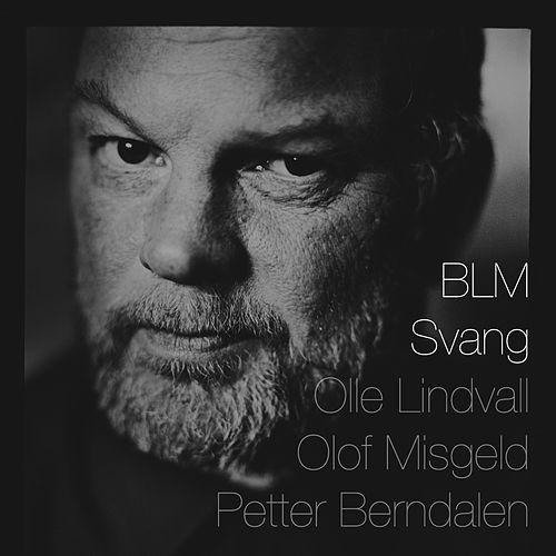 Cover for Blm · Svang (CD) (2013)