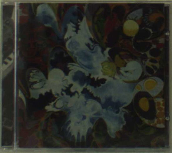 III - Discolor - Musikk - LIZARD - 8016670678526 - 2008