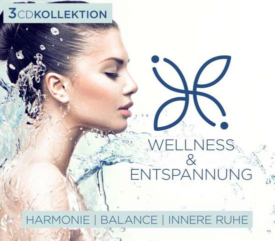 Wellness & Entsprannung - V/A - Music - MCP - 9002986131526 - October 12, 2018