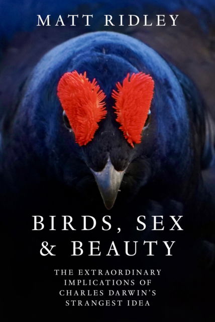 Cover for Matt Ridley · Birds, Sex and Beauty: The Extraordinary Implications of Charles Darwin’s Strangest Idea (Innbunden bok) (2025)