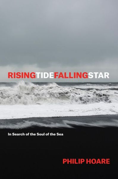 Cover for Philip Hoare · Risingtidefallingstar: In Search of the Soul of the Sea (Paperback Book) (2018)