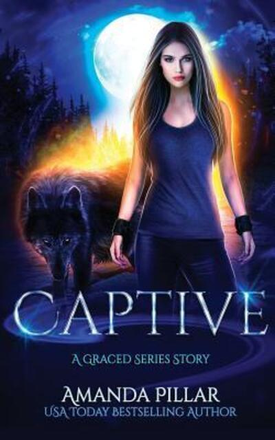 Cover for Pillar Amanda · Captive A Graced Story (Paperback Book) (2016)