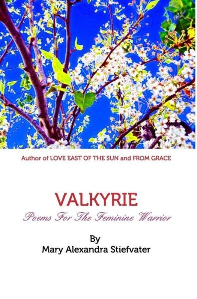 Cover for Mary Alexandra Stiefvater · Valkyrie (Innbunden bok) (2018)