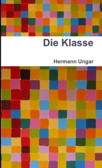 Cover for Hermann Ungar · Die Klasse (Book) (2012)