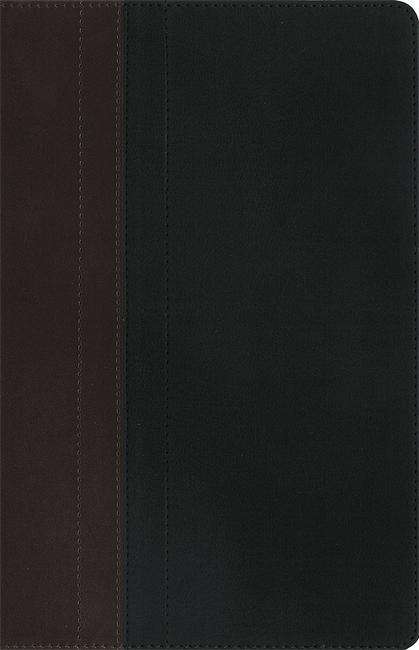 Cover for New International Version · NIV Study Bible Brown / Tan Duo-Tone Personal Size - New International Version (Inbunden Bok) (2015)