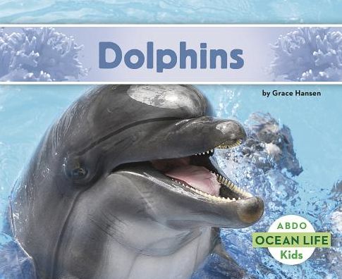 Cover for Grace Hansen · Dolphins - Ocean Life (Paperback Book) (2017)