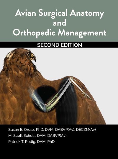 Cover for Susan Orosz · Avian Surgical Anatomy And Orthopedic Management, 2nd Edition (Paperback Book) (2023)