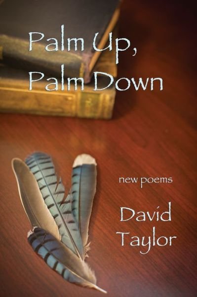 Palm Up, Palm Down - David Taylor - Books - Wings Press - 9781609405526 - September 1, 2017