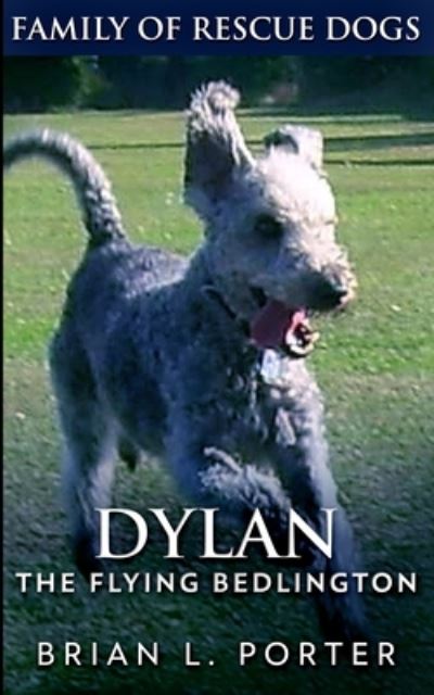 Cover for Brian L Porter · Dylan (Paperback Book) (2021)