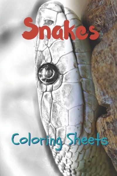 Cover for Julian Smith · Snake Coloring Sheets (Paperback Book) (2019)