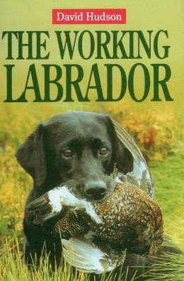 Cover for David Hudson · The Working Labrador (Hardcover Book) (2001)