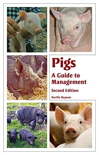 Pigs: A Guide to Management - Second Edition - Neville Beynon - Books - The Crowood Press Ltd - 9781847977526 - June 23, 2014