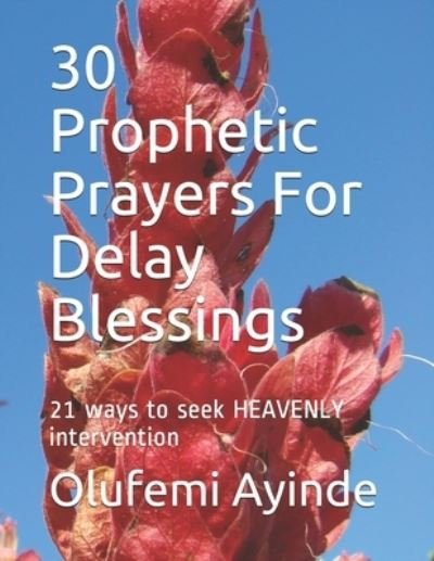 Cover for Olufemi Ayinde · 30 Prophetic Prayers For Delay Blessings (Paperback Book) (2017)