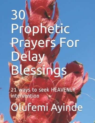 Cover for Olufemi Ayinde · 30 Prophetic Prayers For Delay Blessings (Taschenbuch) (2017)