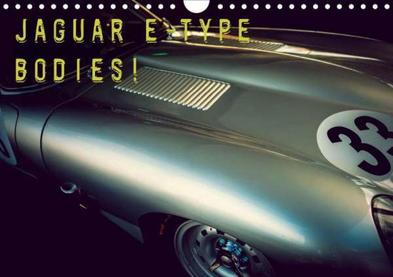 Cover for Hinrichs · Jaguar E-Type - Bodies (Wandka (Book)