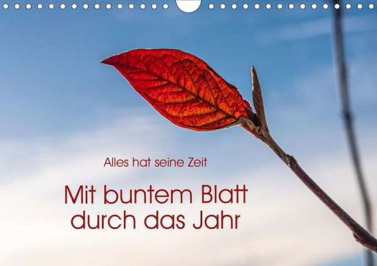 Cover for Seidl · Mit buntem Blatt durch das Jahr ( (Book)