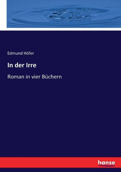 Cover for Edmund Hoefer · In der Irre: Roman in vier Buchern (Paperback Book) (2017)