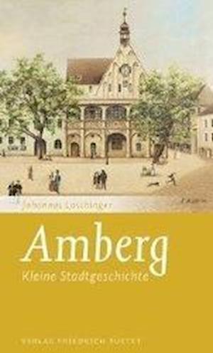 Cover for Laschinger · Amberg (Book)