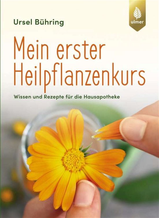 Cover for Bühring · Mein erster Heilpflanzenkurs (Book)