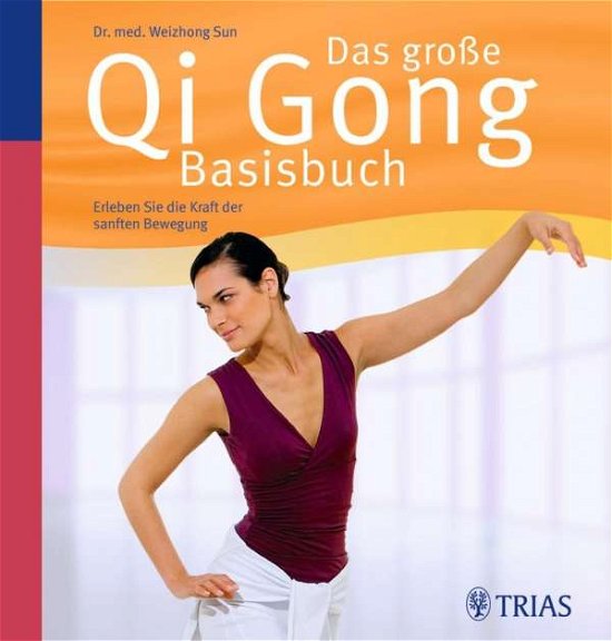 Cover for Sun · Das große Qi Gong Basisbuch.NA (Book)