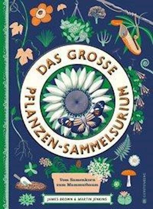 Cover for Martin Jenkins · Das große Pflanzen-Sammelsurium (Gebundenes Buch) (2020)