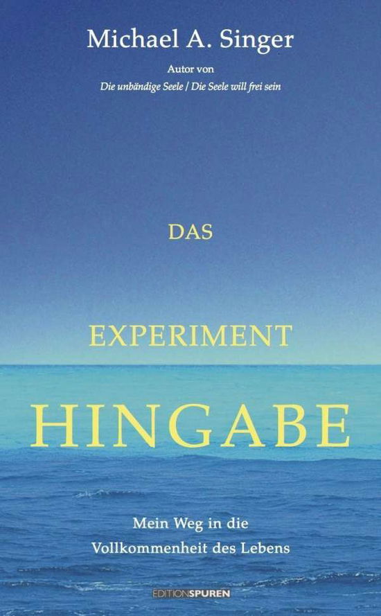 Cover for Singer · Das Experiment Hingabe (Book)