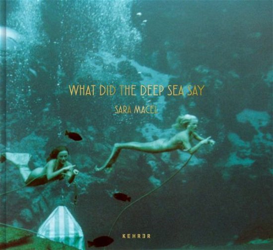 Cover for Sara Macel · What Did the Deep Sea Say (Gebundenes Buch) (2022)