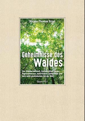 Cover for Jürgen-Thomas Ernst · Geheimnisse des Waldes (Book) (2022)