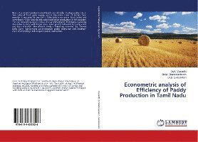 Cover for Vasanthi · Econometric analysis of Effici (Book)