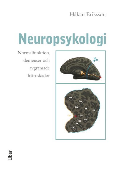 Cover for Håkan Eriksson · Neuropsykologi - Normalfunktion, demenser och avgränsade hjärnskador (Bound Book) (2001)