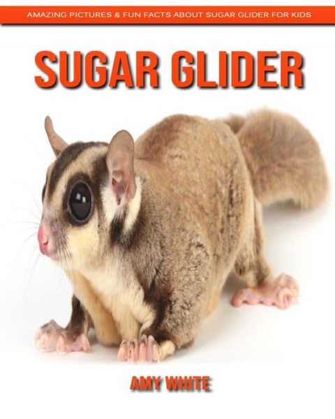 Cover for Amy White · Sugar Glider (Paperback Book) (2020)