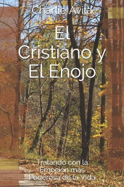 Cover for Charlie Avila · El Cristiano y El Enojo (Paperback Book) (2020)