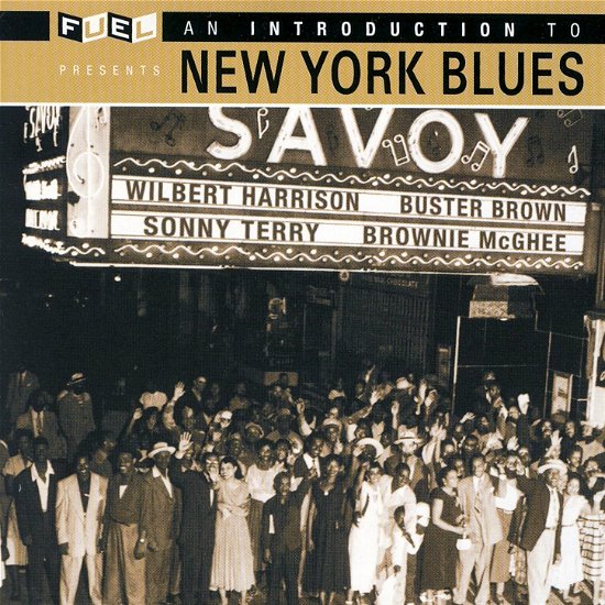 Cover for New York Blues · NEW YORK BLUES-Wilbert Harrison, Buster Brown, Sonny Terry, Brownie Mc (CD)