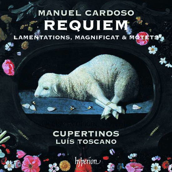 Manuel Cardoso: Requiem. Lamentations. Magnificat & Motets - Cupertinos / Luis Toscano - Musik - HYPERION - 0034571282527 - 28 december 2018