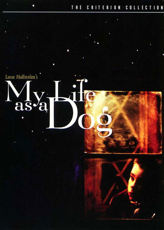 Cover for Criterion Collection · My Life As a Dog / DVD (DVD) (2010)