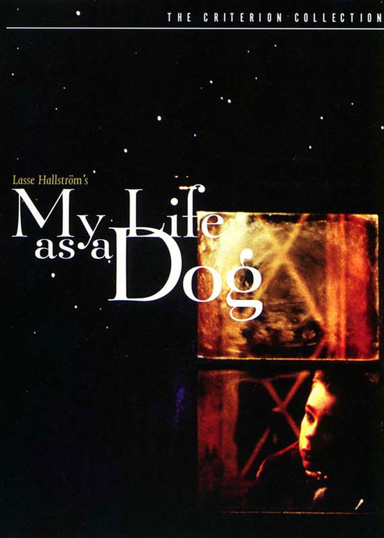 My Life As a Dog / DVD - Criterion Collection - Movies - CRITERION COLLECTION - 0037429173527 - March 21, 2010