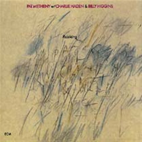 Cover for Pat Metheny · Rejoicing (CD) (2000)