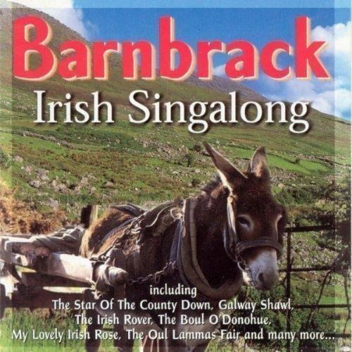 Cover for Various Artists · IRISH SING-ALONG-Barnbrack,McMaster,Pete St. John, F.McPeake, McVey (CD)