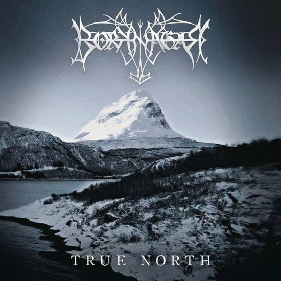 Cover for Borknagar · Borknagar - True North (CD) [Limited edition] [Digipak] (2019)